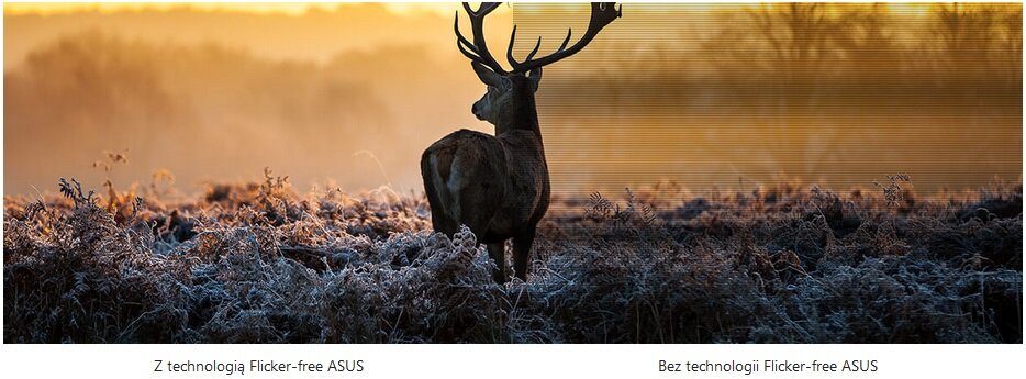 Monitor ASUS ProArt PA27AC - Redukcja migotania