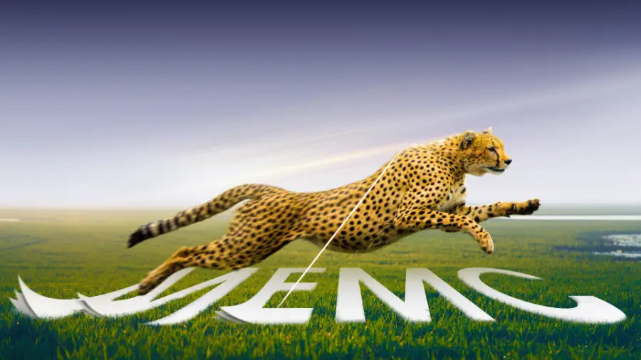 smooth motion image