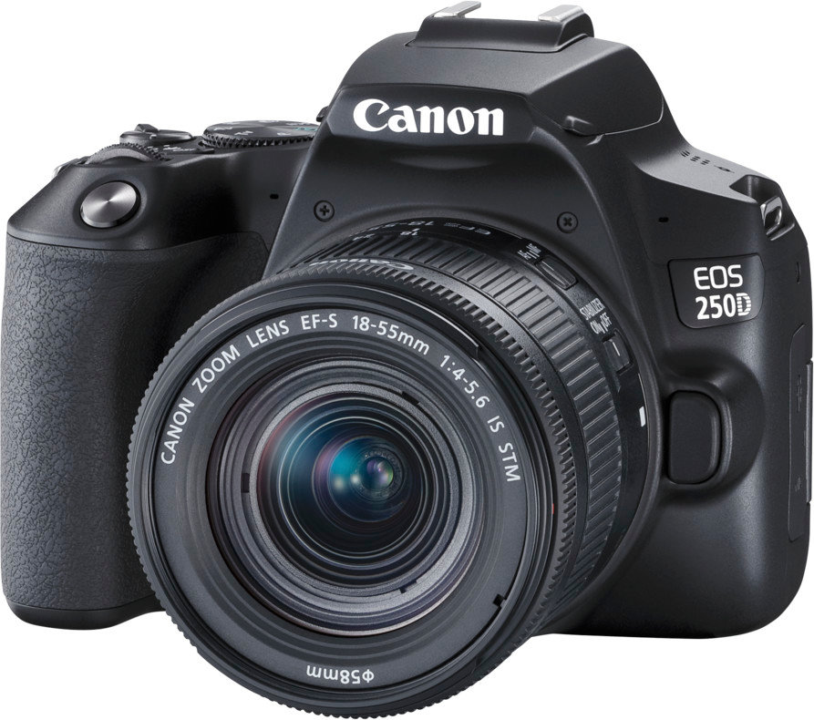 Aparat CANON EOS 250D + Obiektyw EF-S 18-55mm f/4-5.6 IS STM