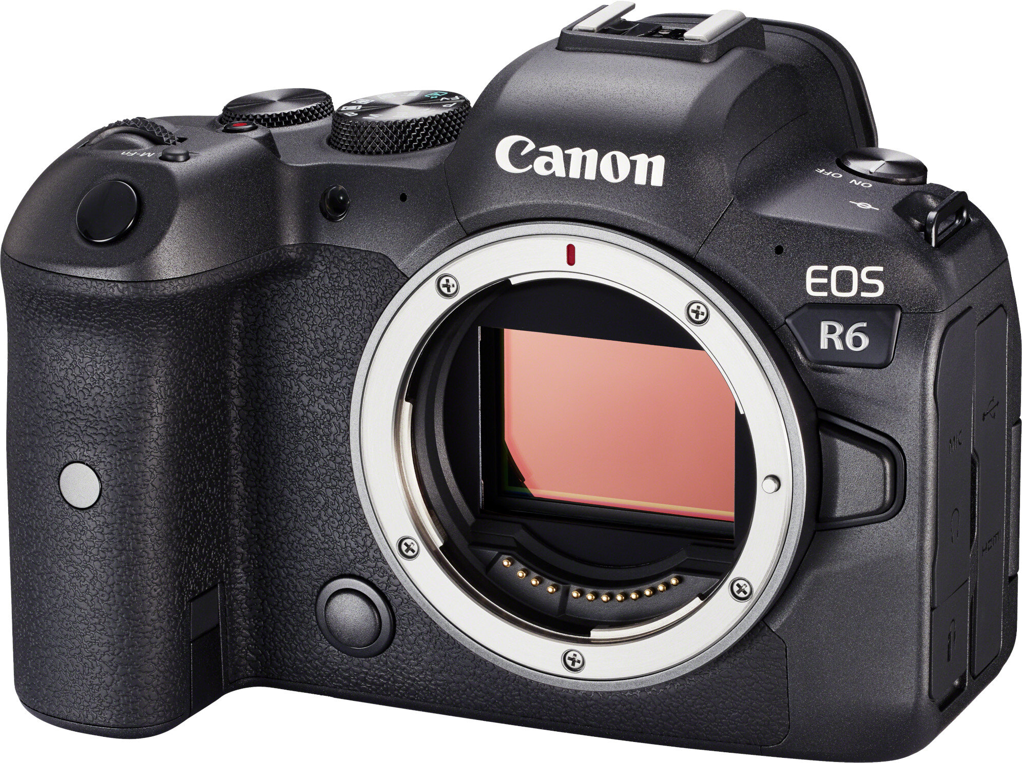 Aparat Canon EOS R6