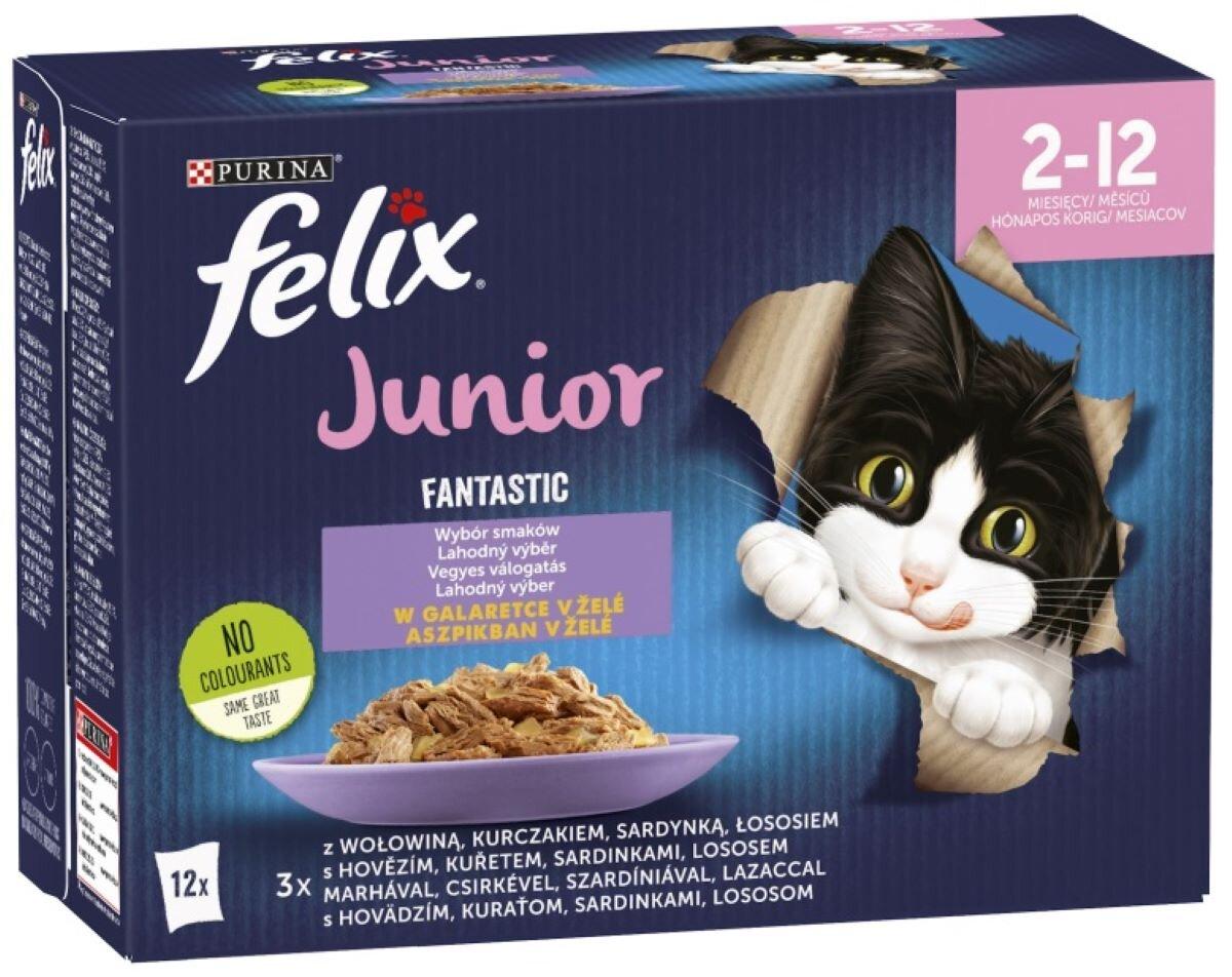Karma dla kota Felix Fantastic Junior Mix smaków w galaretce 12 x 85 g