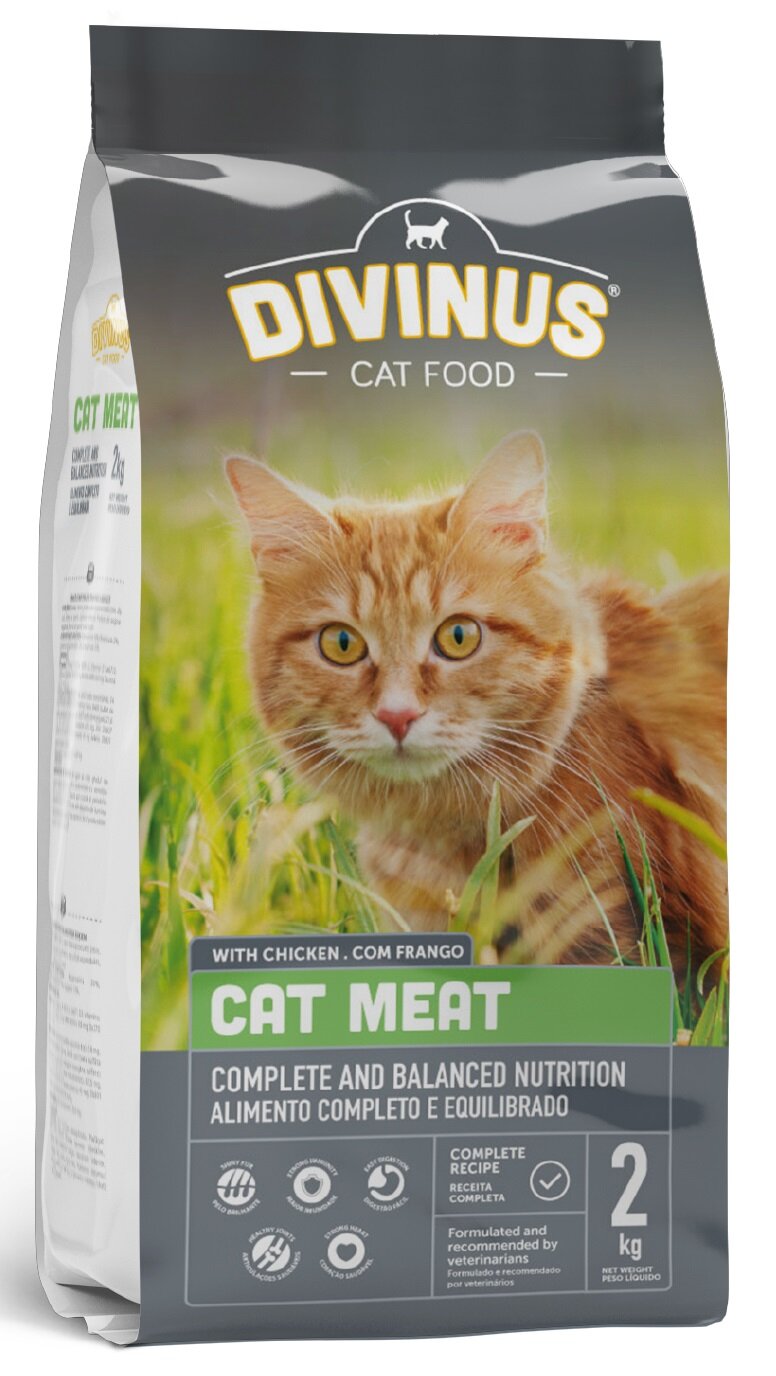 Karma dla kota Divinus Cat Meat Mięsny 2kg