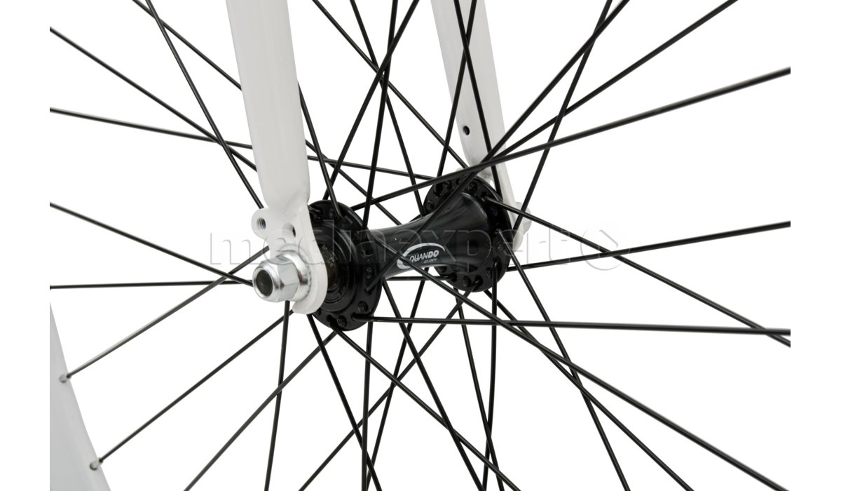 bottecchia 303 scatto fisso