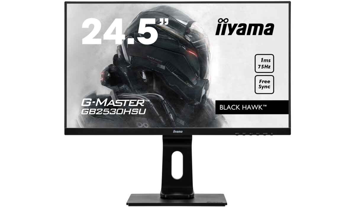 Monitor IIYAMA GB2530HSU-B1