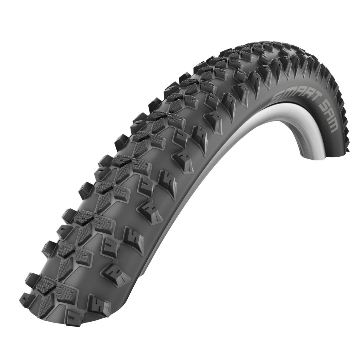 schwalbe smart sam active 2.25 tubeless