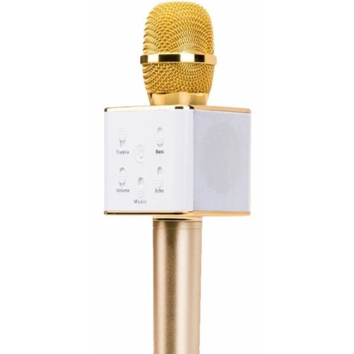 XREC Karaoke Bluetooth Złoty Mikrofon z głośnikiem ceny i opinie w