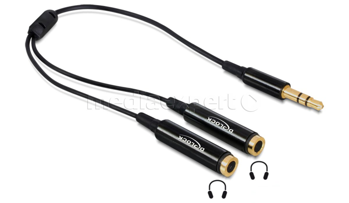 DELOCK 0.25 m Adapter Mini Jack 3.5 mm 2x Mini Jack 3.5 mm ceny i