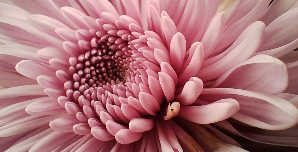 Smartfon MOTOROLA Moto G32    ekran bateria aparat procesor ram pamięć pojemność rozdzielczość zdjęcia filmy opis dane cechy blokady system łączność wifi bluetooth obudowa szkło odporność porty muzyka transfer sieć przekątna matryca waga czujniki oled amoled ips