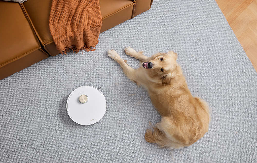 Na jasnym dywanie znajduje się biały robot sprzątający oraz leżący pies. Obok widoczna jest brązowa sofa z pomarańczowym kocem.