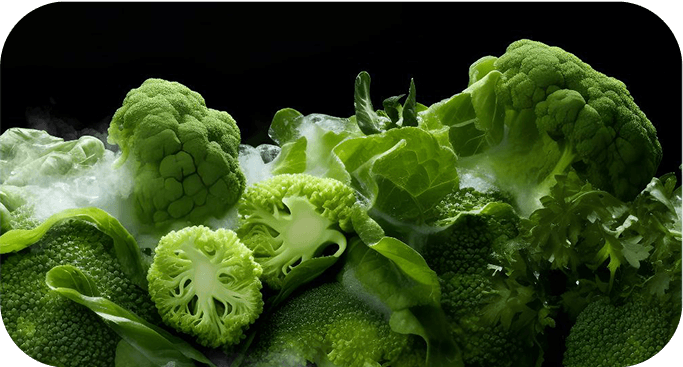 Na obrazie widoczne są różne rodzaje zielonych warzyw, w tym brokuły i sałata, pokryte lekką warstwą szronu. Tło jest ciemne, co podkreśla świeżość i intensywność kolorów warzyw.