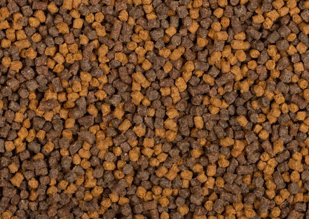 Pellet BAITNOW Yellow Spin 2 mm (800 g) widoczny rozsypany pellet