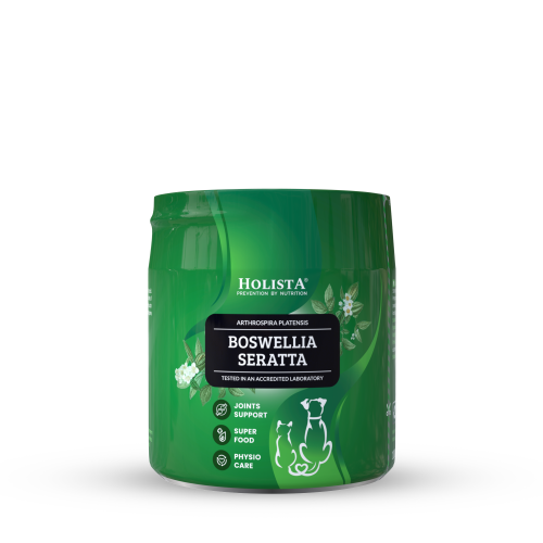 Zielone opakowanie produktu z napisem \'HOLISTA BOSWELLIA SERATTA\'.