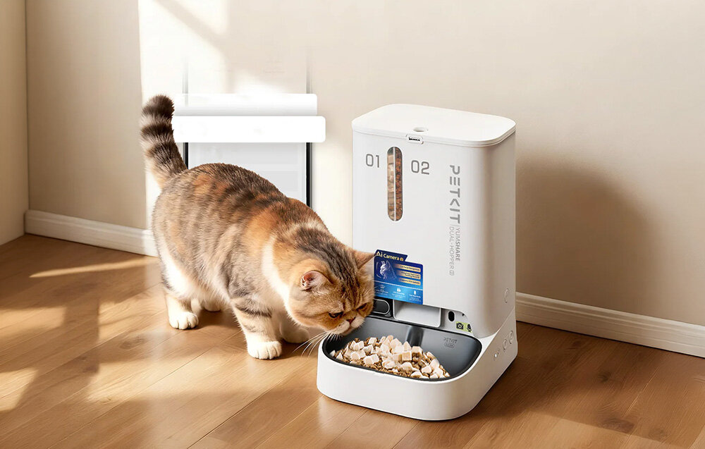 Dozownik karmy automatyczny PETKIT Yumshare Dual Hopper 2 zdjęcie lifestyle na zdjęciu kot je posiłek Całodobowy podgląd zapisuje zdjęcia oraz nagrania przed i po karmieniu