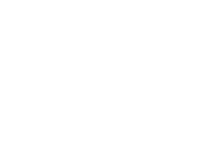 Voice Interaction