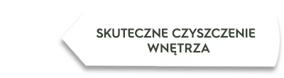 Grafika przedstawia biały prostokąt z czarnym napisem \'SKUTECZNE CZYSZCZENIE WNĘTRZA\'.