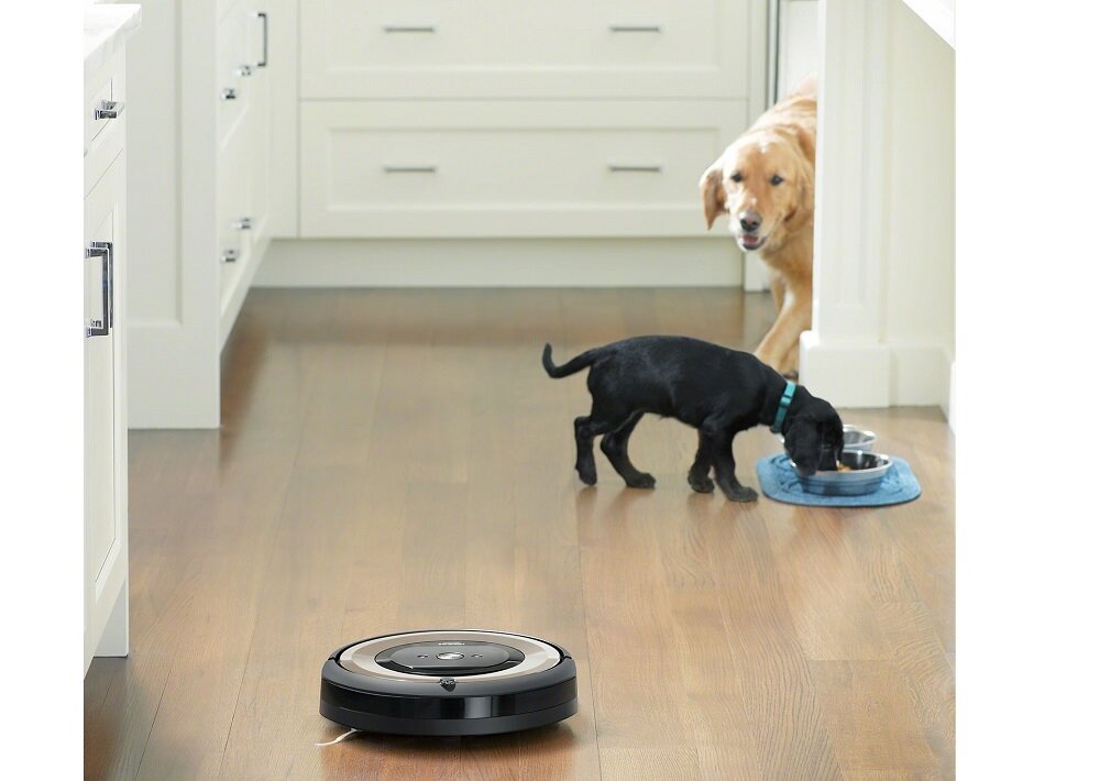 Na drewnianej podłodze w kuchni znajduje się robot sprzątający. W tle widoczne są dwa psy przy misce z jedzeniem.