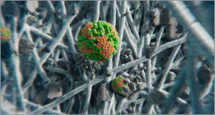 Obraz przedstawia zbliżenie na strukturę przypominającą włókna, z widocznymi kolorowymi kulkami w odcieniach zieleni i pomarańczu. Tło jest rozmyte, co podkreśla szczegóły włókien i kulek.