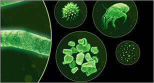 Obraz przedstawia powiększone mikroskopowo elementy, takie jak cząsteczki kurzu, roztocza i inne drobne struktury, w zielonym odcieniu. Elementy są umieszczone w okrągłych ramkach na czarnym tle.
