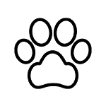 Czarna ikona przedstawiająca strzałkę skierowaną w dół.