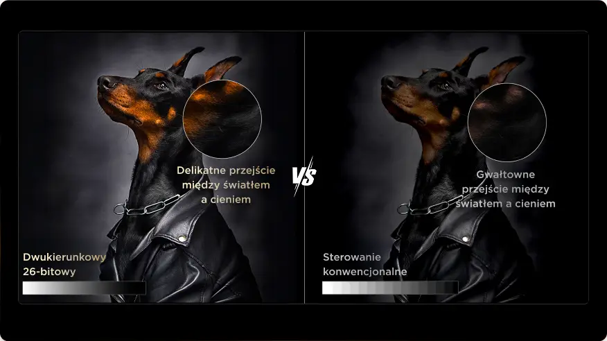 Porównanie dwóch zdjęć dobermana: sterowanie 26-bitowe z płynnym gradientem vs sterowanie konwencjonalne