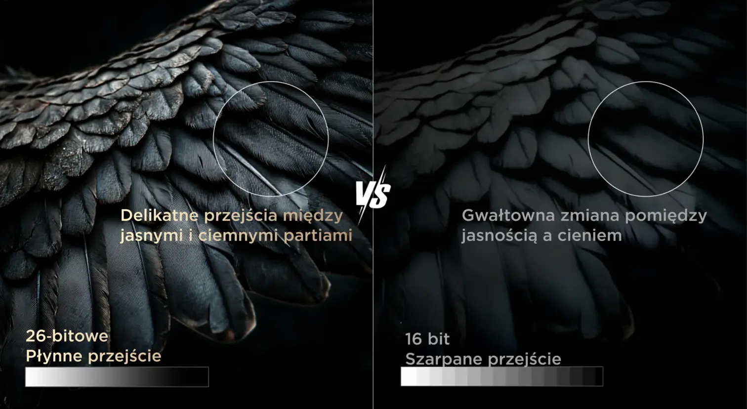 Obraz przedstawia porównanie dwóch rodzajów przejść tonalnych na piórach. Po lewej stronie widnieje napis \'Delikatne przejścia między jasnymi i ciemnymi partiami\' oraz \'26-bitowe Płynne przejście\', a po prawej \'Gwałtowna zmiana pomiędzy jasnością a cieniem\' oraz \'16 bit Szarpane przejście\'.