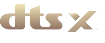 Logo z napisem \'dts x\' w kolorze złotym na czarnym tle.