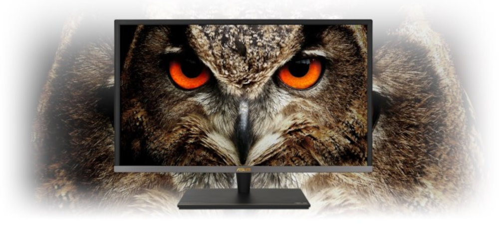 Monitor wyświetla obraz sowy z intensywnie pomarańczowymi oczami. Logo ASUS znajduje się na dolnej ramce monitora.