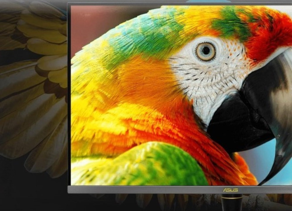 Monitor wyświetla obraz papugi o intensywnych kolorach: zielonym, żółtym, pomarańczowym i czerwonym. Na dolnej ramce monitora widoczne jest logo \'ASUS\'.