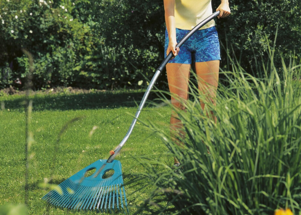 Osoba używa niebieskich grabi ogrodowych na trawniku. W tle widoczne są krzewy i rośliny.