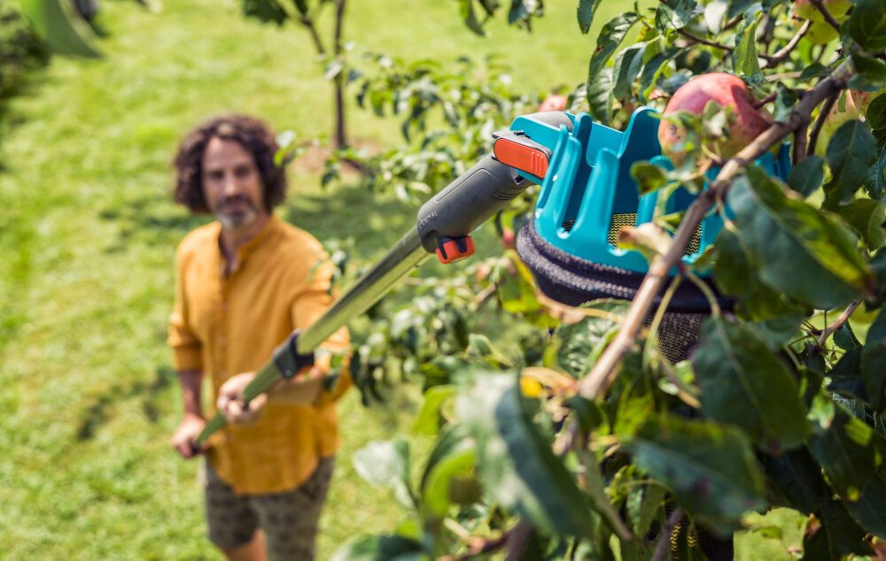 Osoba w ogrodzie używa teleskopowego narzędzia ogrodowego do zbierania owoców z drzewa. Narzędzie ma niebieski uchwyt i jest skierowane na jabłko na gałęzi.
