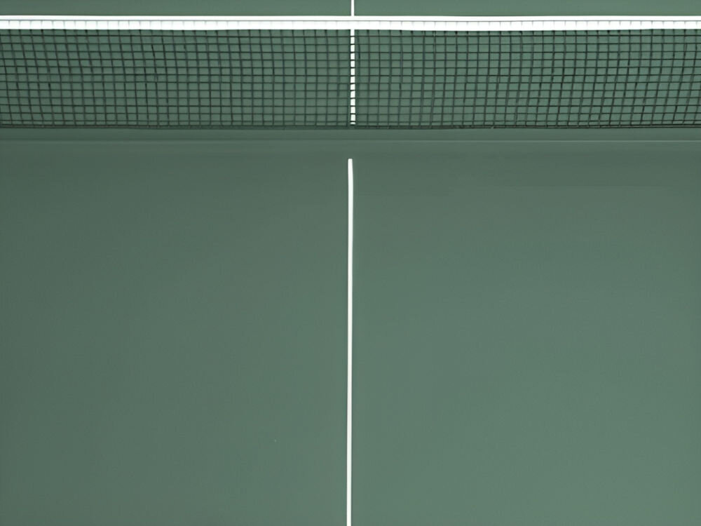 Zdjęcie przedstawia zielony stół do ping ponga z białą linią środkową i siatką na górze. Stół ma matowe wykończenie.