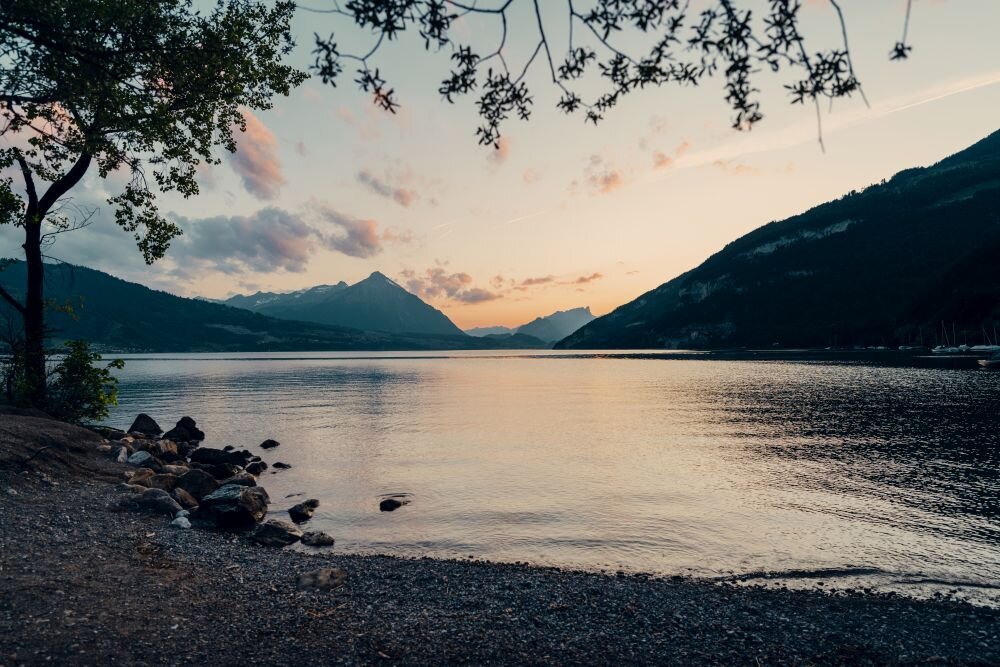 Zdjęcie przedstawia spokojne jezioro otoczone górami o zachodzie słońca. Na pierwszym planie widać kamienistą plażę i gałęzie drzewa.