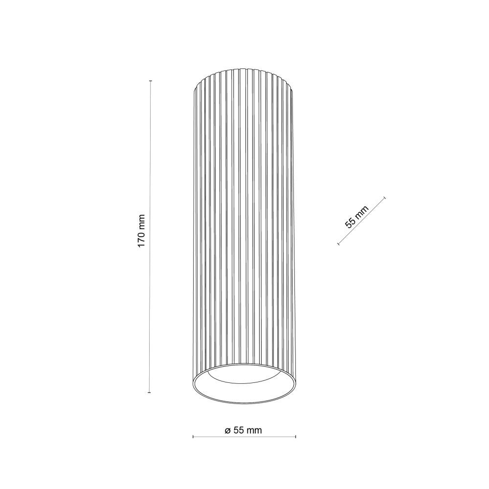 Rysunek techniczny przedstawia walcowaty spot sufitowy z pionowymi liniami na powierzchni. Wymiary to 170 mm wysokości i 55 mm średnicy.