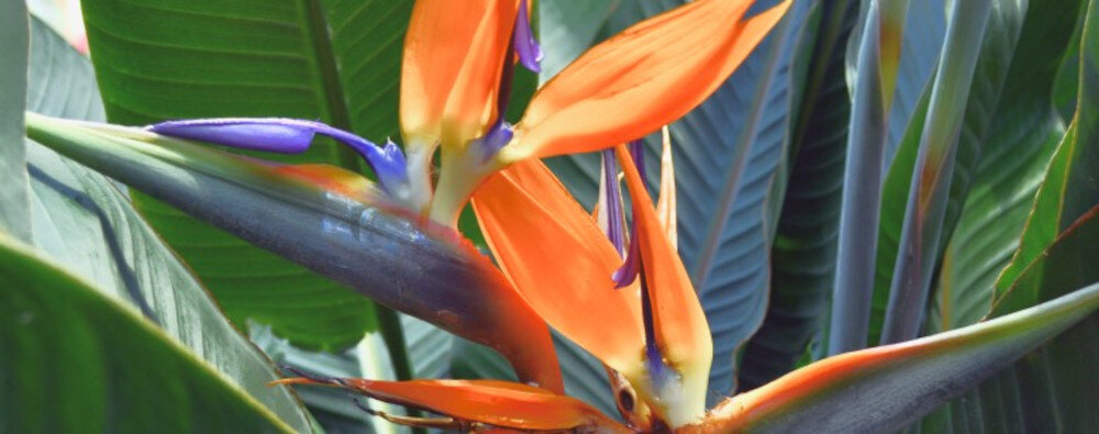 Telewizor KIVI 50U720QB - Nietuzinkowy kontrast, System zarządzania kontrastem