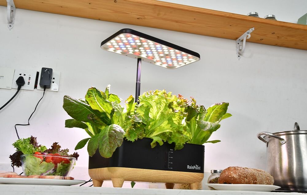 Na blacie kuchennym stoi doniczka z zielonymi roślinami, nad którą znajduje się lampa LED emitująca kolorowe światło. Na doniczce widoczny jest napis \'RainPoint\'.