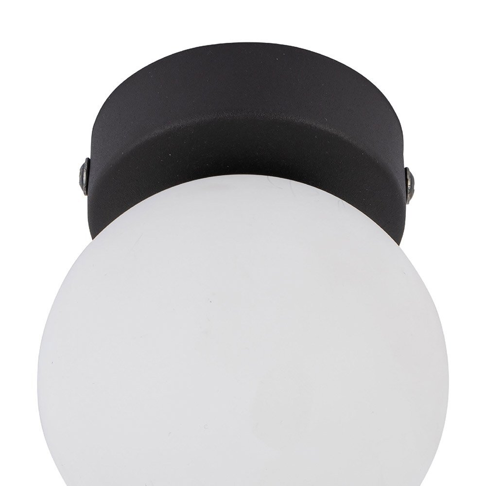 Czarna lampa sufitowo-ścienna z białym, kulistym kloszem. Wykonana z metalu i szkła.
