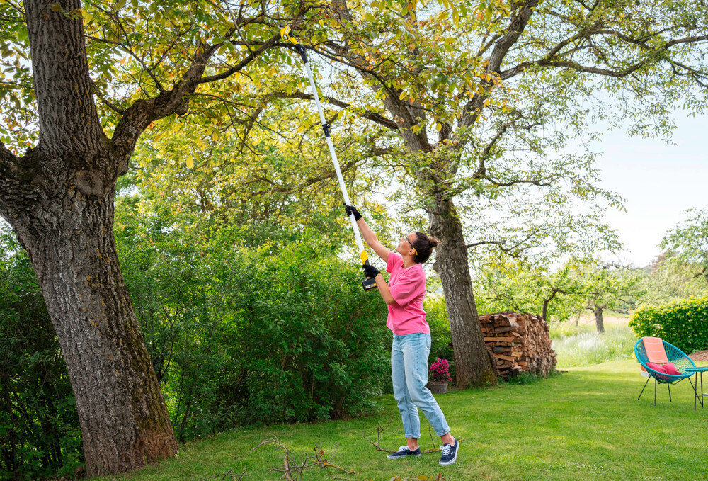 Osoba w różowej koszuli używa akumulatorowego sekatora do gałęzi, przycinając gałęzie drzewa w ogrodzie. W tle widać zielone krzewy i stos drewna.