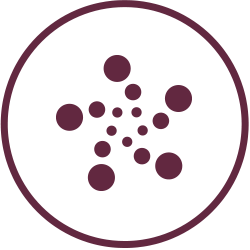 Ikona przedstawia okrąg z mniejszymi kropkami ułożonymi w kształt gwiazdy wewnątrz, w kolorze bordowym.