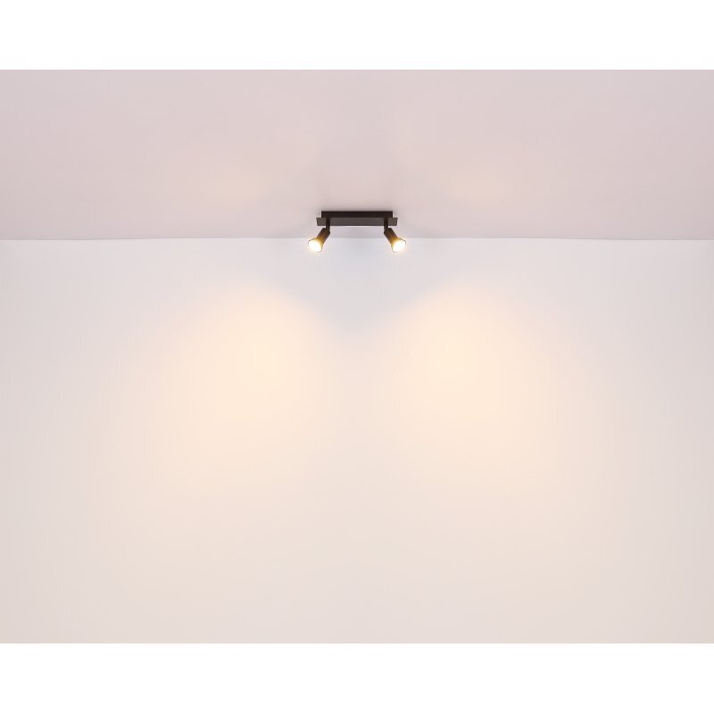 Na suficie zamontowana jest czarna matowa lampa sufitowa z dwoma reflektorami, które emitują światło na ścianę. Lampa ma prostokątną podstawę i dwa źródła światła skierowane w dół.