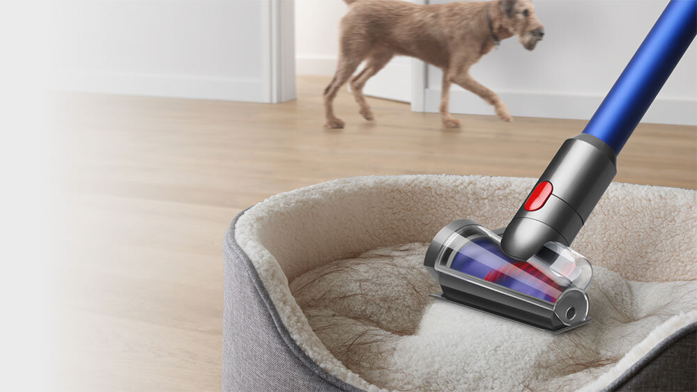 Na obrazie widoczna jest końcówka odkurzacza z niebieską rurą, która odkurza sierść z legowiska dla zwierząt. W tle znajduje się pies na drewnianej podłodze.