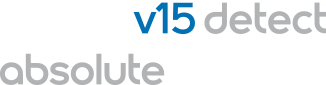 Logo z napisem \'v15 detect absolute\' w kolorach niebieskim i szarym.
