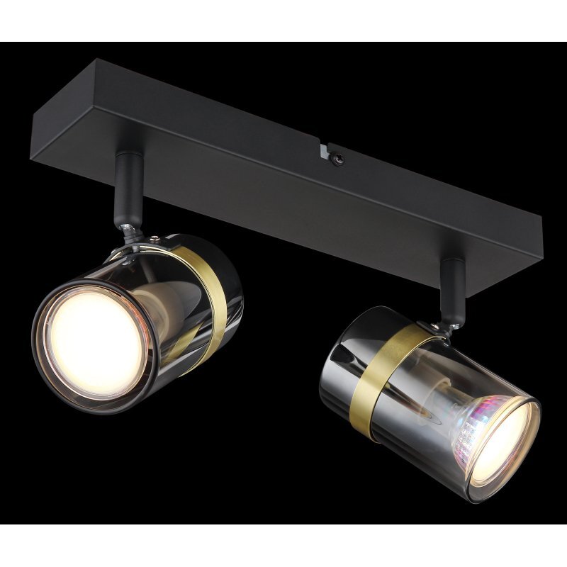 Lampa sufitowa z dwoma reflektorami w czarnym matowym wykończeniu, z przydymionym szkłem i mosiężnymi akcentami. Reflektory są zamontowane na prostokątnej podstawie.