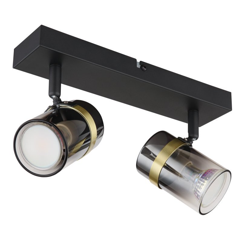 Lampa sufitowa z dwoma reflektorami w czarnym matowym wykończeniu, z przydymionym szkłem i mosiężnymi akcentami. Reflektory są zamontowane na prostokątnej podstawie.