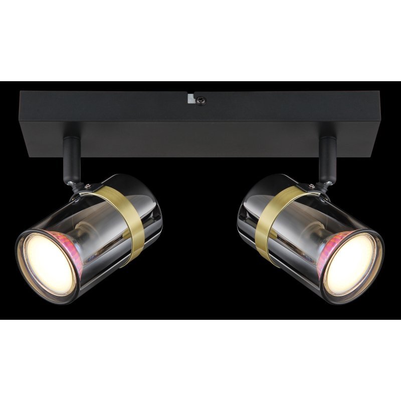 Lampa sufitowa z dwoma reflektorami w czarnym matowym wykończeniu, z przydymionym szkłem i mosiężnymi elementami. Reflektory są zamontowane na prostokątnej podstawie.