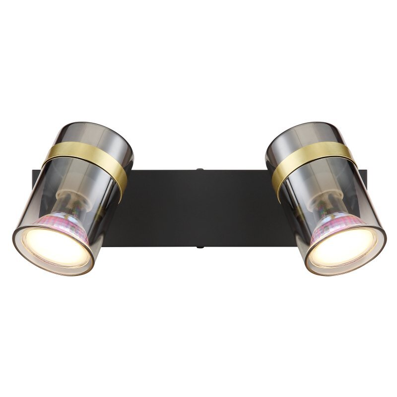 Lampa sufitowa z dwoma reflektorami, wykonana z czarnego matowego metalu i przydymionego szkła, z elementami w kolorze mosiądzu. Reflektory są zamontowane na prostokątnej podstawie.