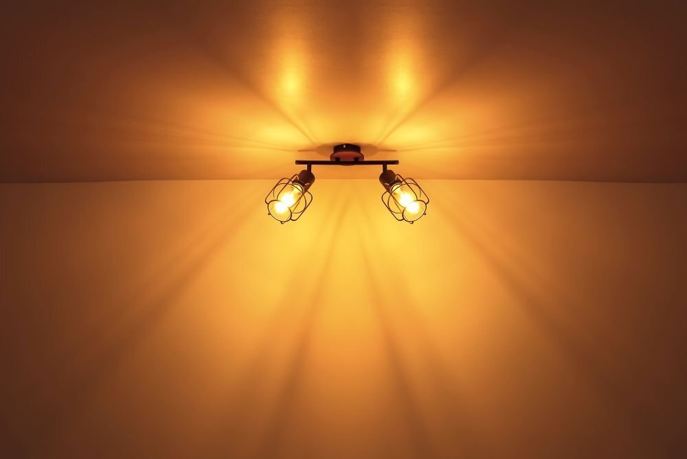 Na suficie zamontowana jest lampa sufitowa z dwoma źródłami światła, które emitują ciepłe, żółte światło. Lampa ma metalowe elementy w kolorze czarnym i brązowe drewniane akcenty.