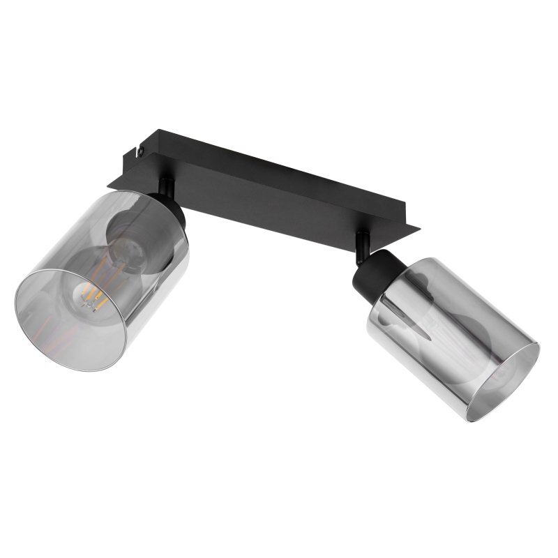Czarna lampa sufitowa z dwoma reflektorami, każdy z przydymionym szklanym kloszem. Reflektory są zamontowane na prostokątnej, metalowej podstawie.