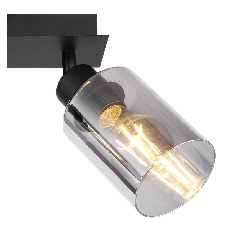Lampa sufitowa z czarną metalową podstawą i szklanym, przydymionym kloszem, w którym znajduje się żarówka E27.