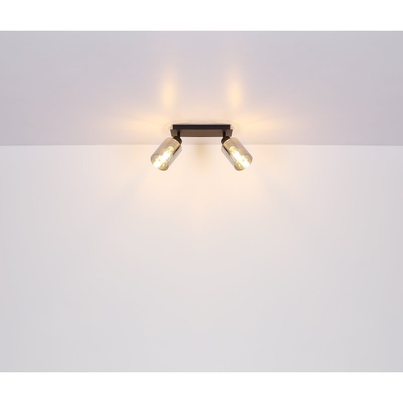 Na suficie zamontowana jest czarna lampa sufitowa z dwoma reflektorami skierowanymi w dół. Klosze są wykonane z przydymionego szkła, a światło jest włączone.
