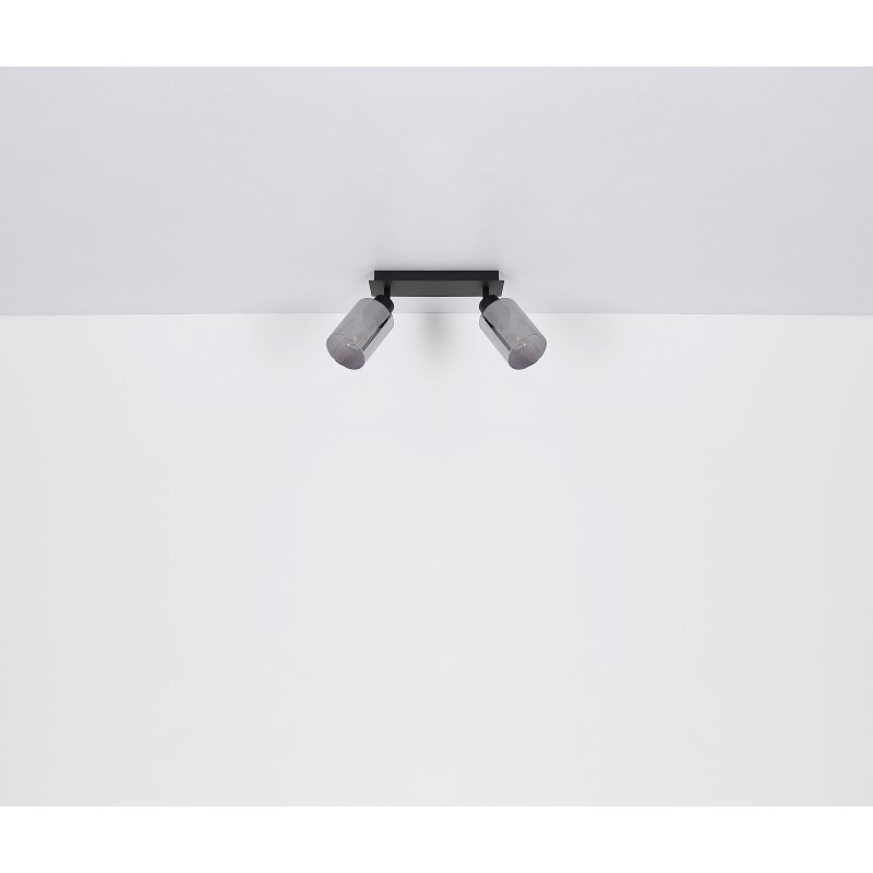 Na obrazie widoczna jest czarna lampa sufitowa z dwoma reflektorami skierowanymi w dół. Klosze lampy wykonane są z przydymionego szkła.